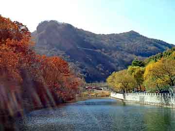 新澳天天开奖资料大全旅游团，埃及驻上海领事馆